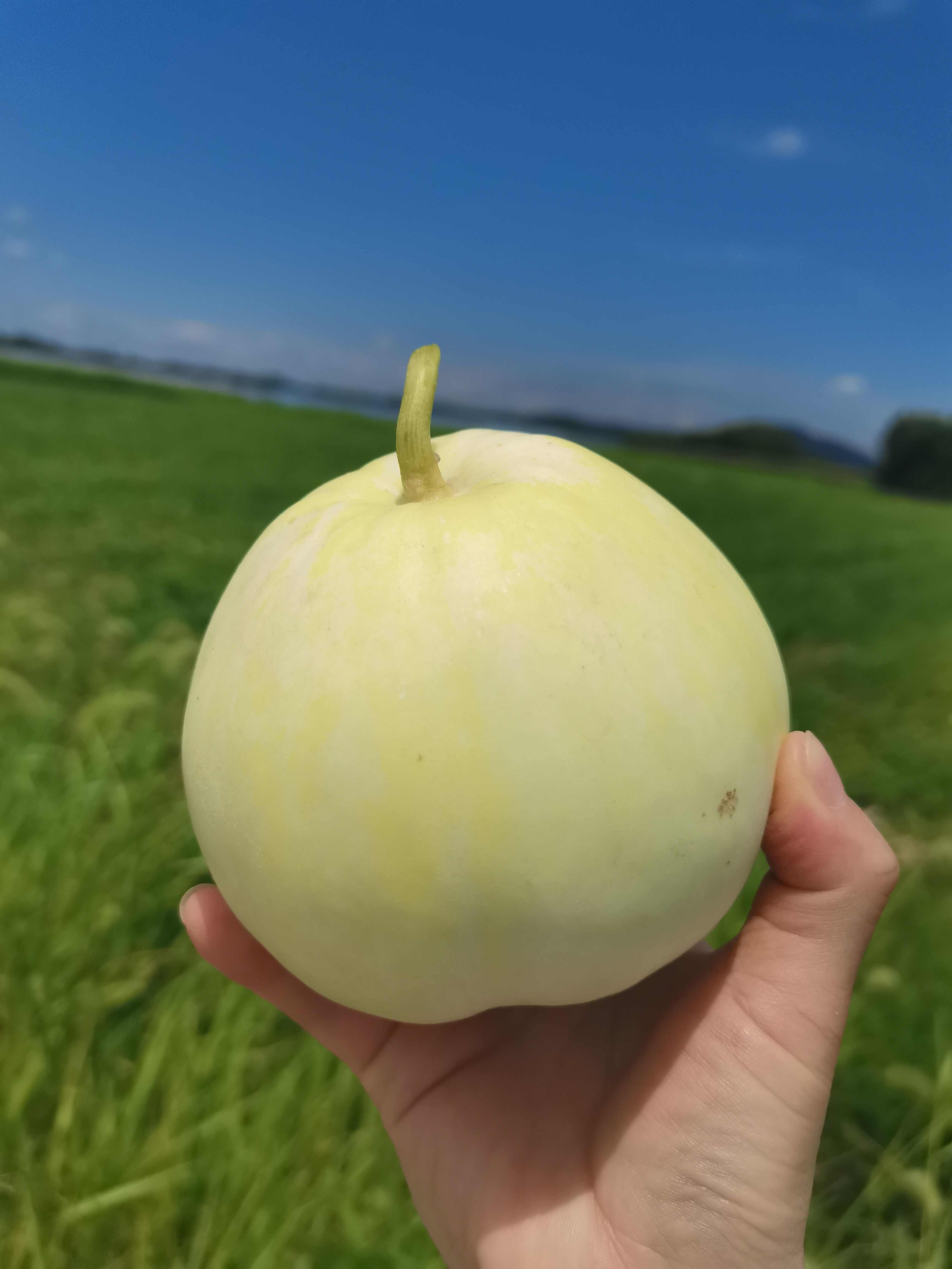 江苏溧阳天目湖美浓甜宝