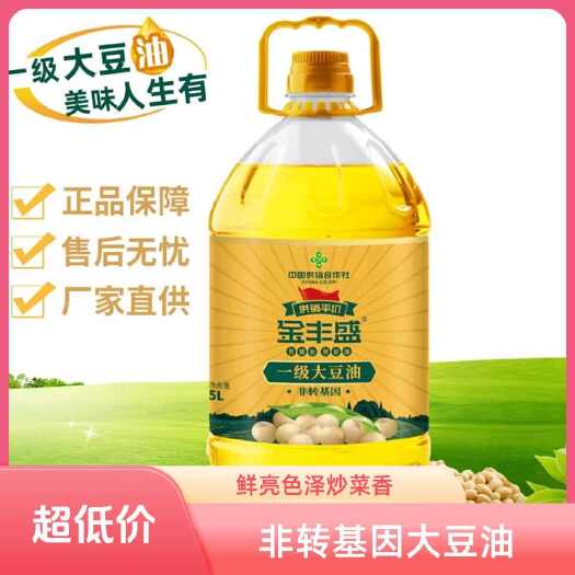 金丰盛大豆油 非转基因压榨一级食用油 上海闵行区发货