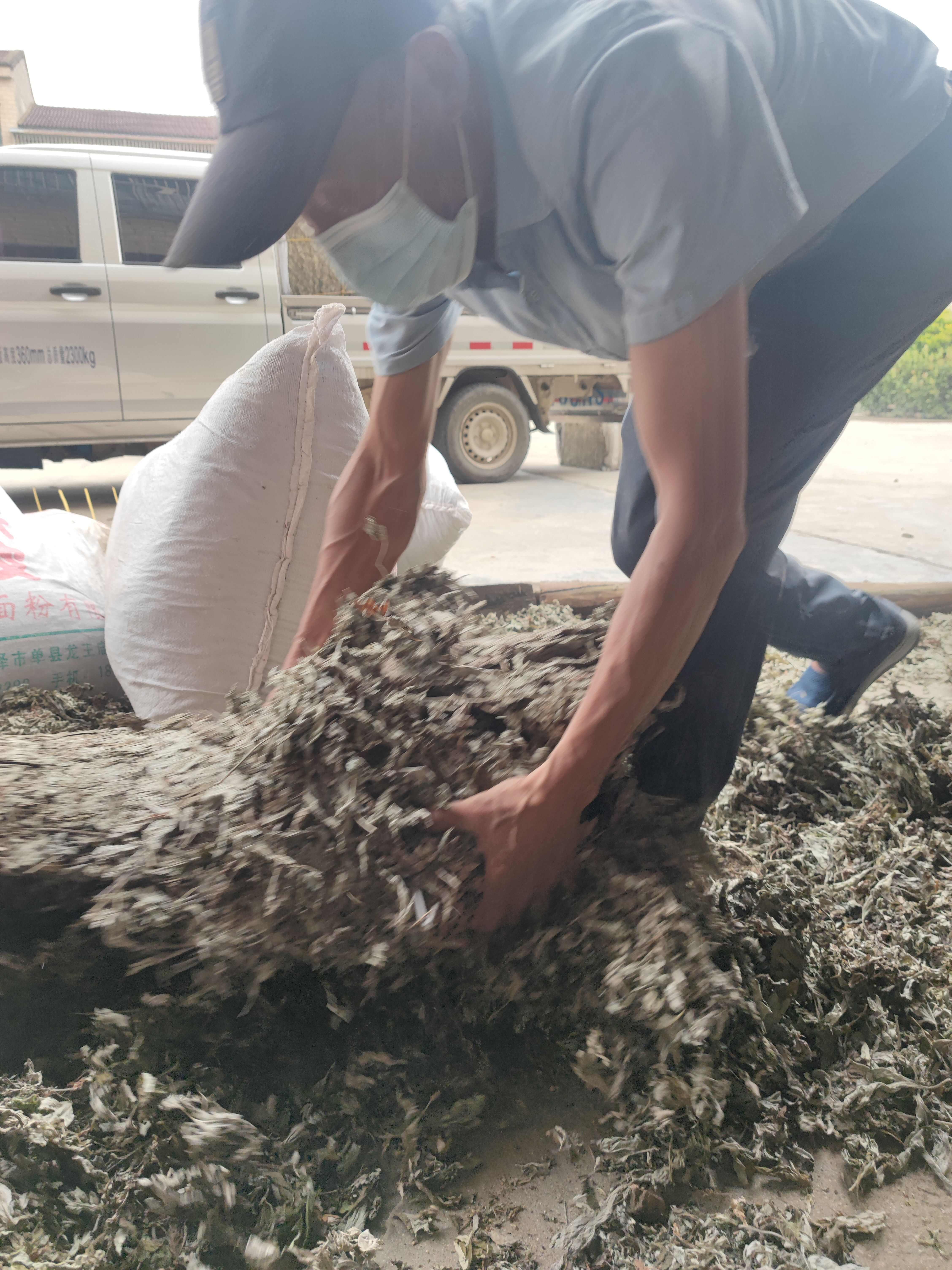 艾叶不带杆净叶大叶蕲艾湖北艾草薰蚊虫打艾绒做艾灸煮水泡浴