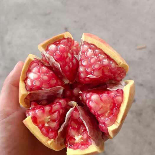 攀枝花突尼斯软籽石榴各种品质规格都有