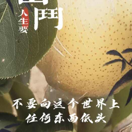 阳信县阳信特产