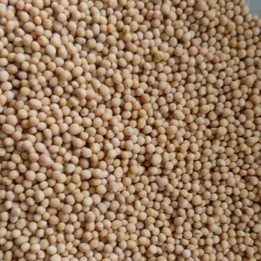 昆明云南昆明官渡区中药材果实芥子产地直供