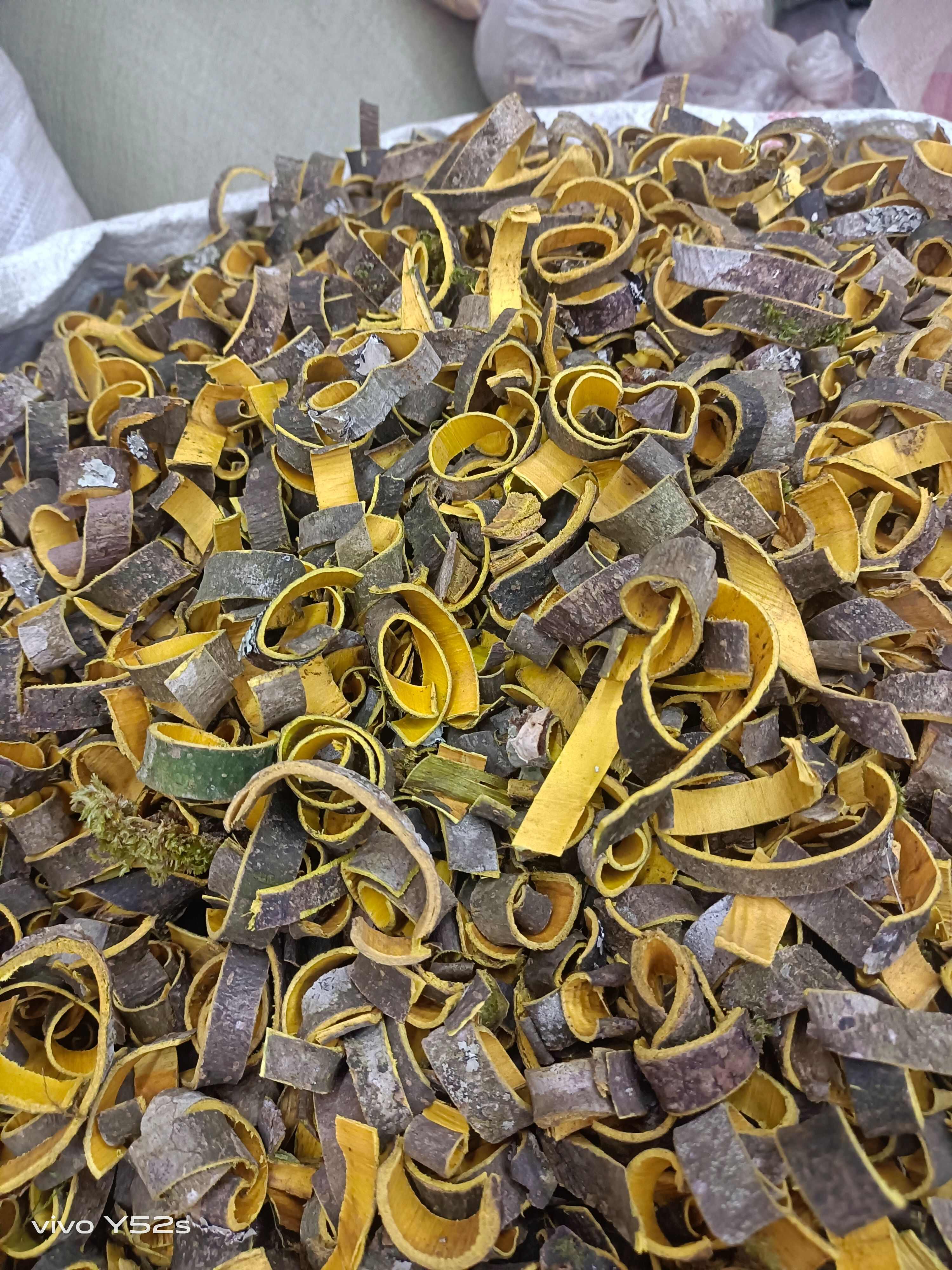 云南昆明黄柏中药材树皮产地直供