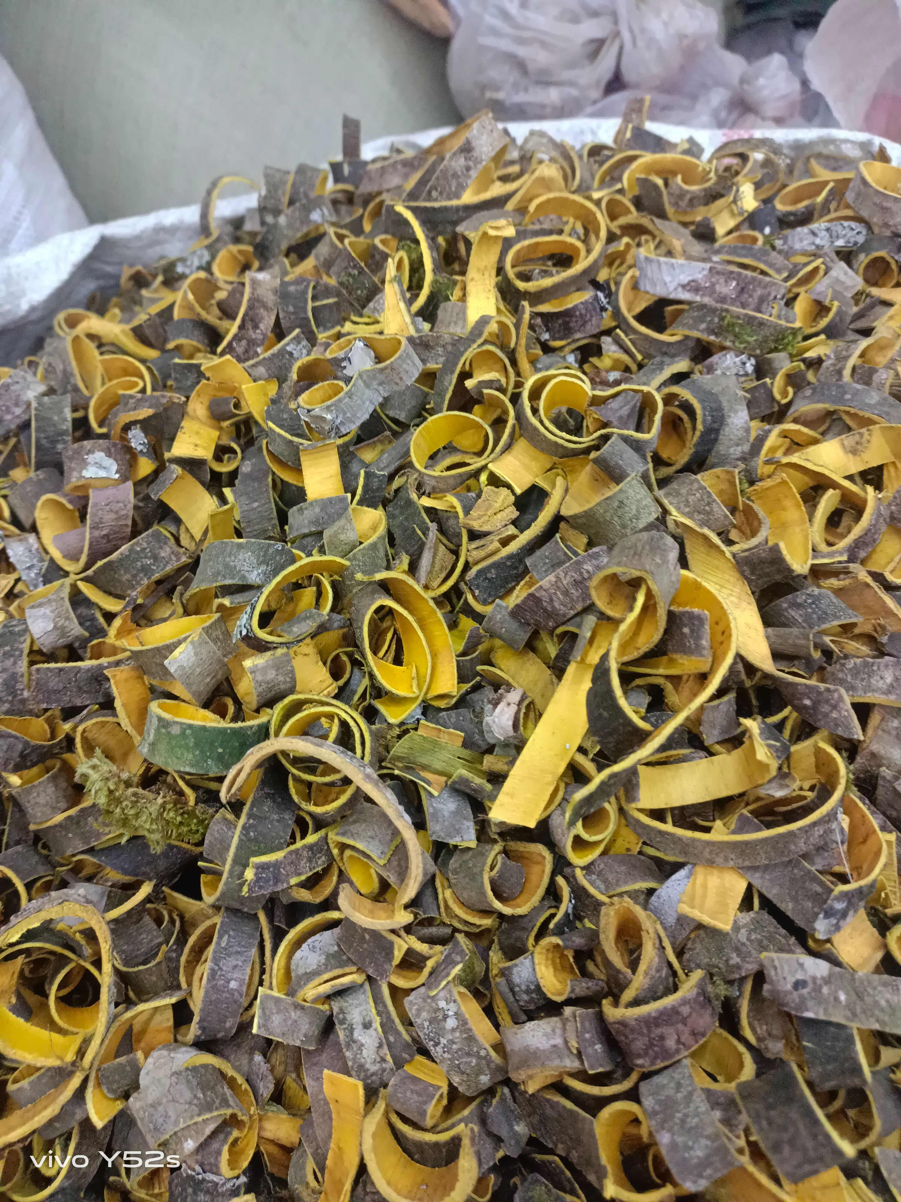 云南昆明黄柏中药材树皮产地直供
