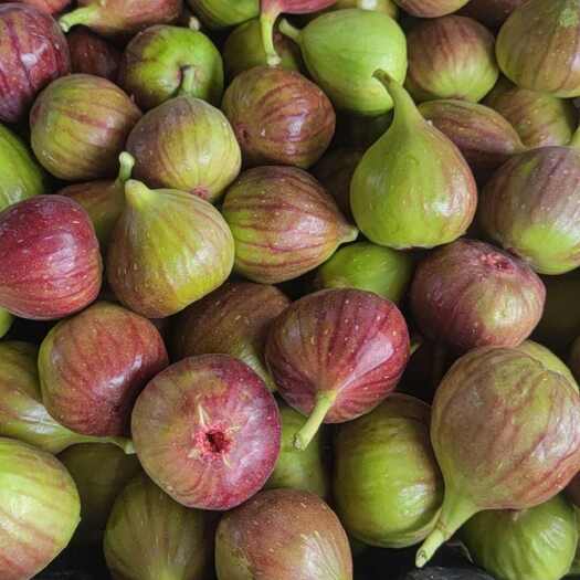 大量出售，加工果，欢迎有实力老板对接。