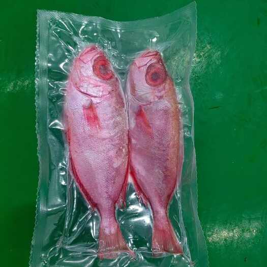 广州大眼鸡200-300克独立真空包装