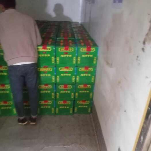 鹤峰县精品的红萝卜