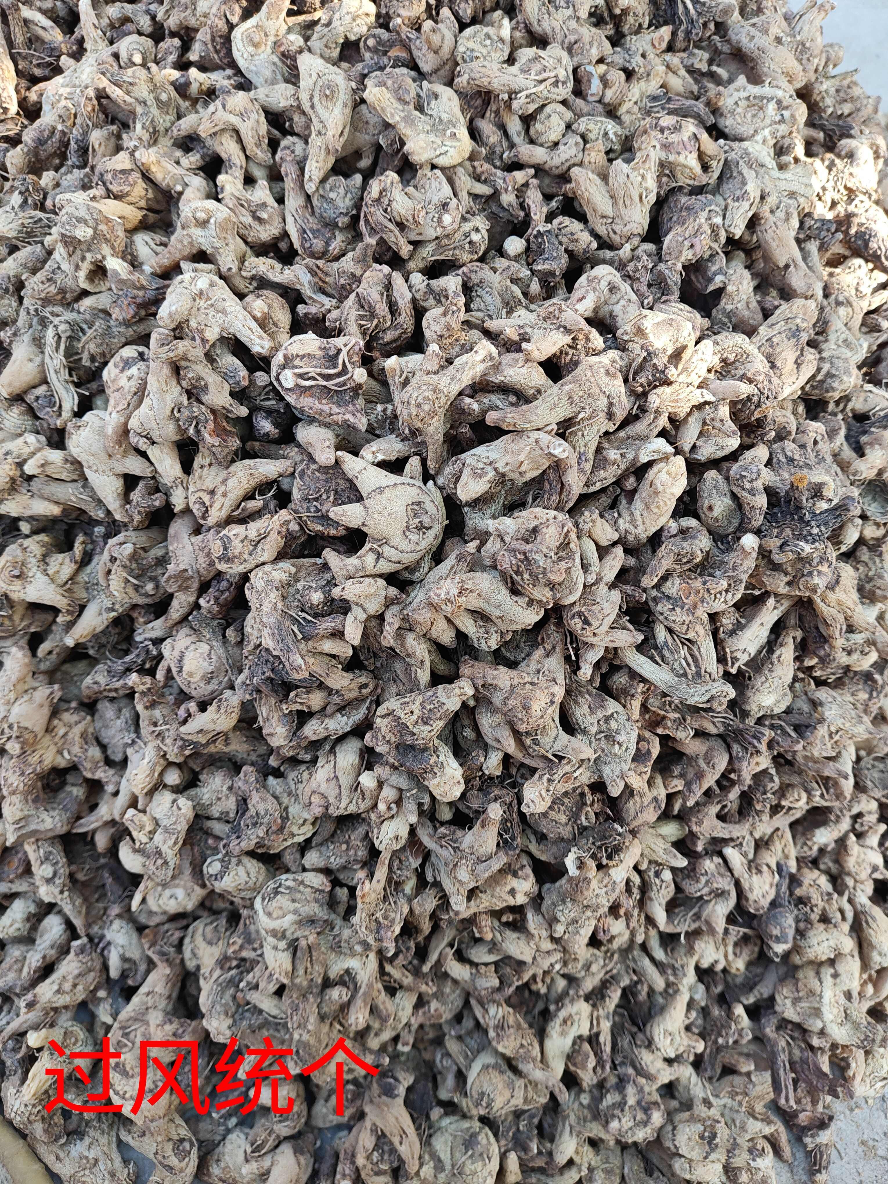 商洛白及中药材根茎 陕西商洛产地直供