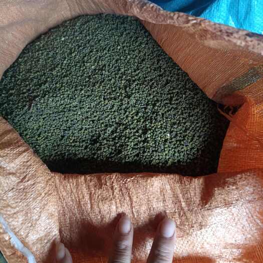 麻阳县吴茱萸中花