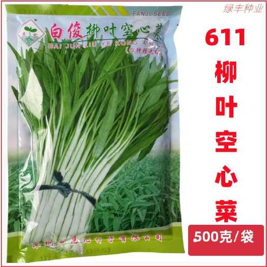 三明范记 白俊柳叶空心菜种子精选611白骨中叶通心菜春秋季空心菜