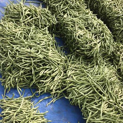 榆树市豆角：马掌，盖世，架豆，各种豆角大量上市