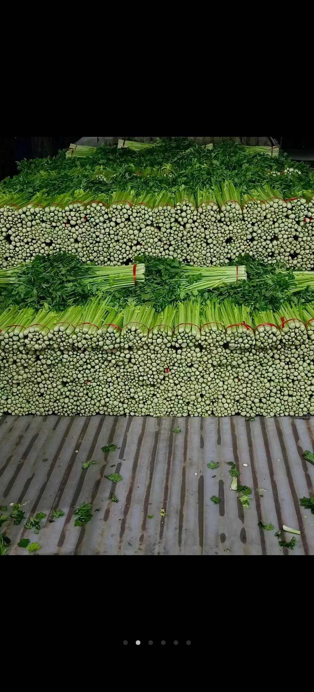 毛芹，松花，甘蓝