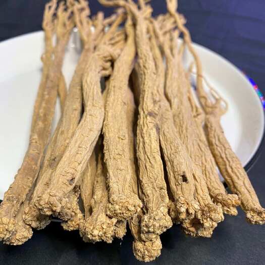 岷县党参