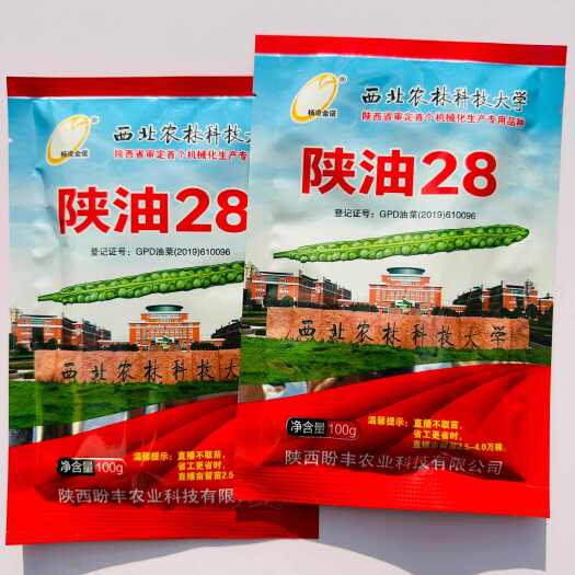 陕油28油菜籽种子  陕油803油菜籽种子 陕油19油菜种子