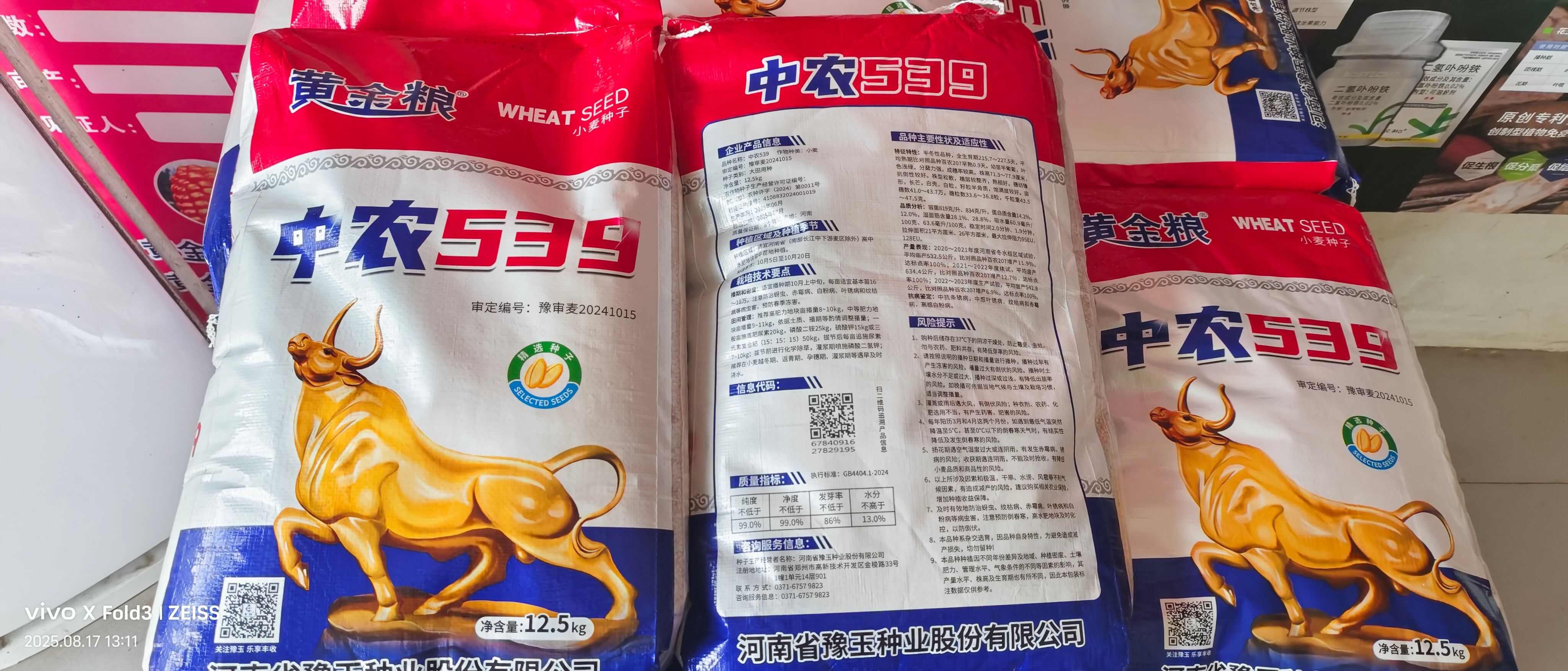 黄金粮中农539小麦种子矮杆早熟耐密小麦种一袋一码防伪追溯