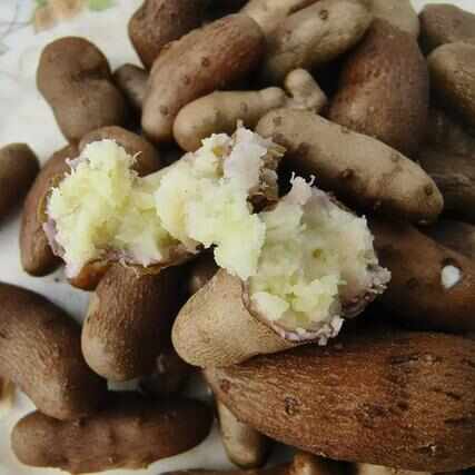 河北安平小白嘴山药豆手拣豆产地直销