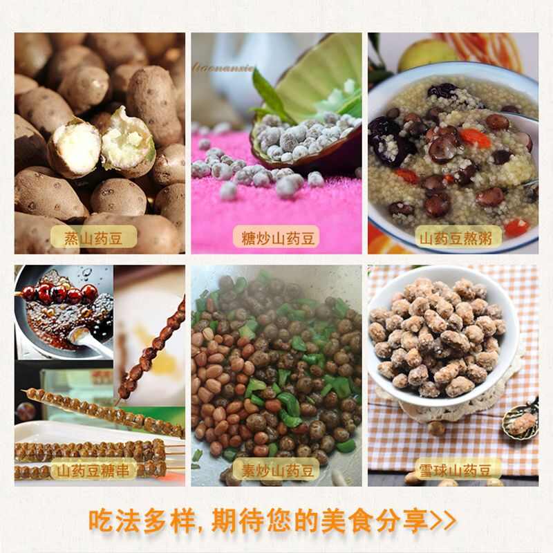 河北安平小白嘴山药豆手拣豆产地直销