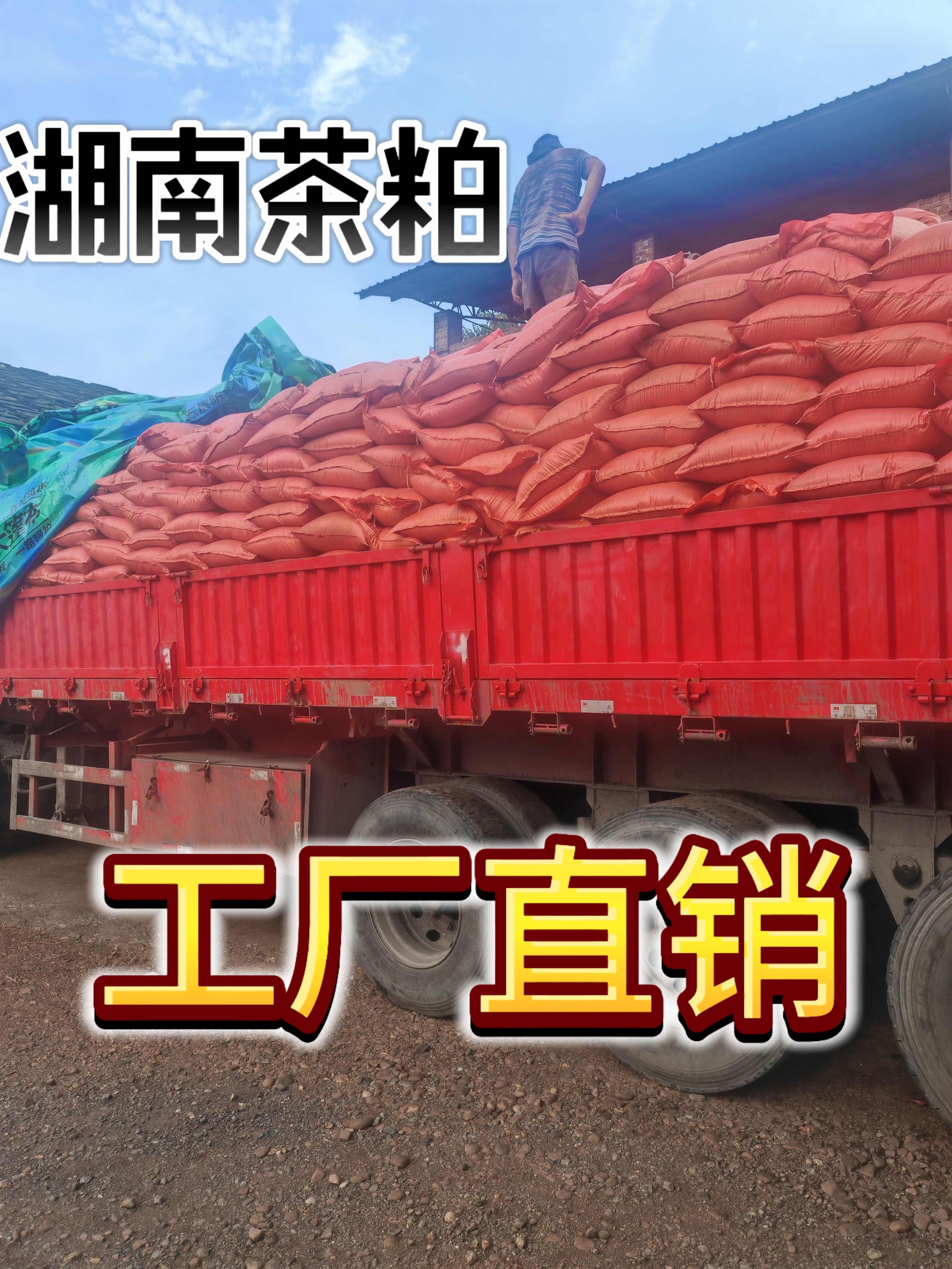 优质（茶枯茶粕）茶麸湖南工厂直销清塘肥水种植肥料