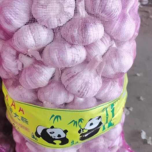 成武县世界蒜都大蒜