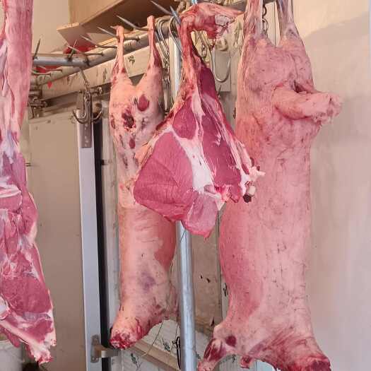 乌鲁木齐新疆羊肉