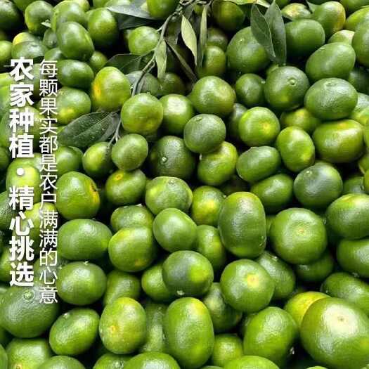 寻乌县赣南桔子薄皮
