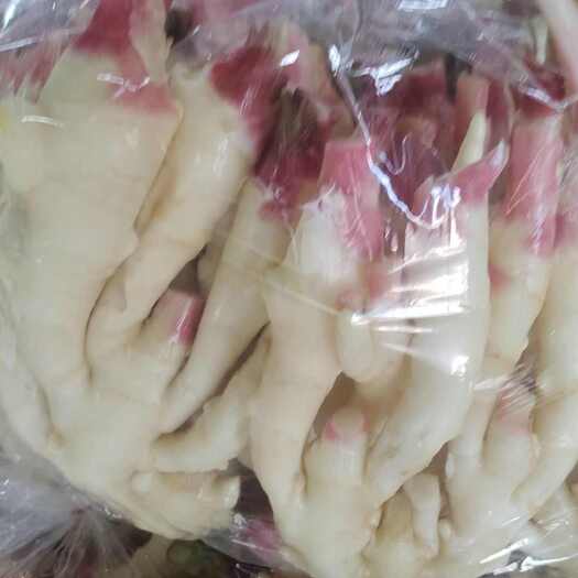 安丘市面姜红芽姜