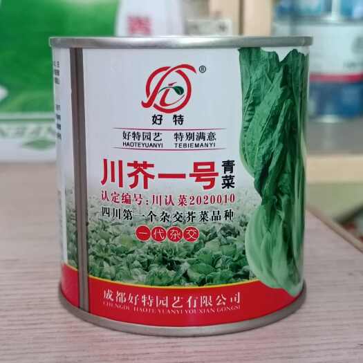 长沙县好特川芥一号青菜 杂交中晚熟芥菜种子