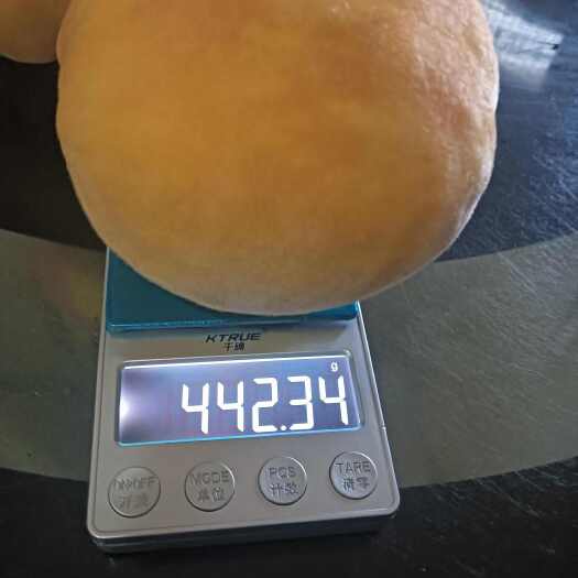 巴中锦绣黄桃苗，锦绣，黄桃苗