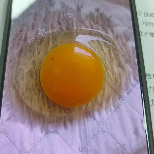 武汉什么样的鸡蛋都有