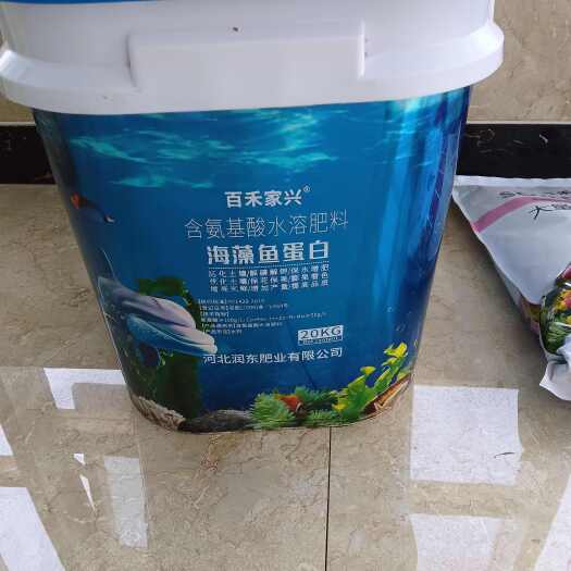 正定县海藻鱼蛋白（液体）
