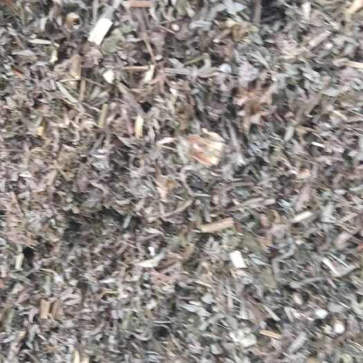 新野县益母草段微粉