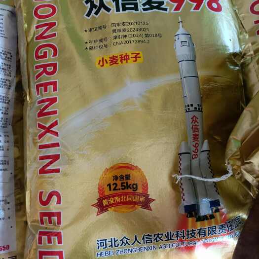 民权县精品金装  众信麦998  纯度高  产量更优质