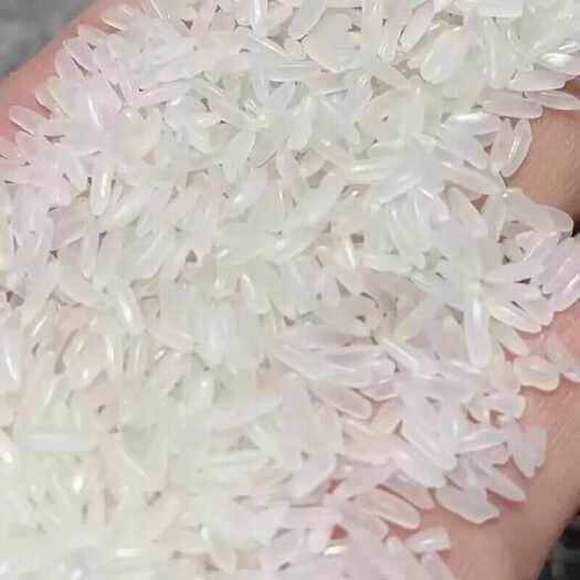 成都大米