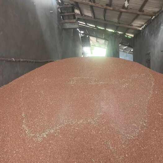 重庆市贵州茅台集团红缨子高粱