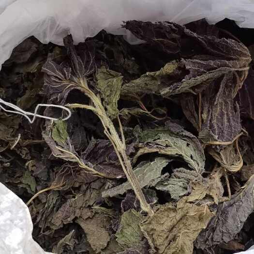 重庆市紫苏叶