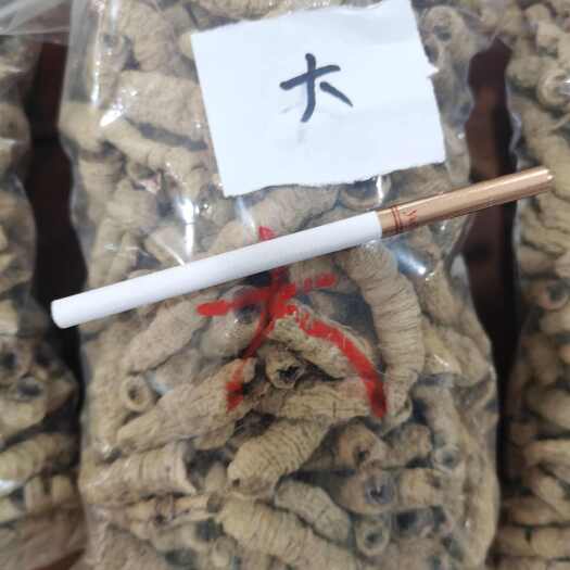 广州巴戟天