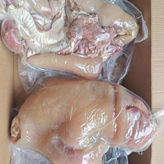 临沂黄牛牛脸，干净无毛，质量如图，可根据客户需求进行包装，保温箱