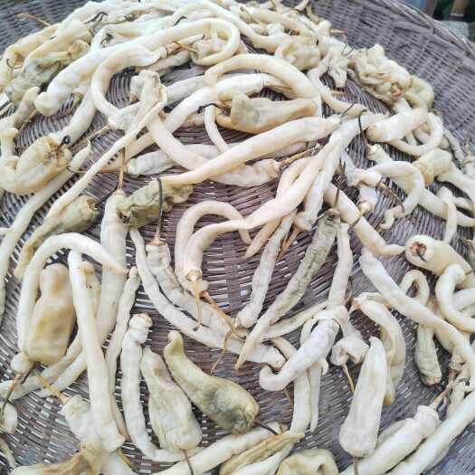 桂东县白辣椒