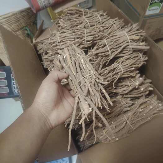 小金县藏甜独当归