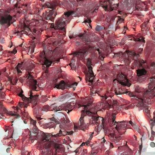 郑州纯干牛碎肉适合包包子打馅牛高质量新鲜牛碎肉 肉质鲜烧烤食