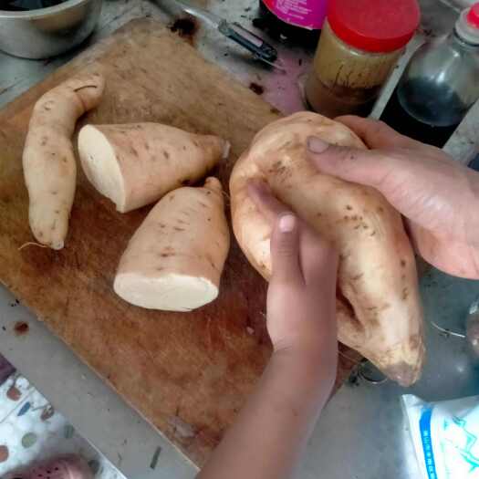 易县红薯553  黄皮黄瓤 软糯香甜