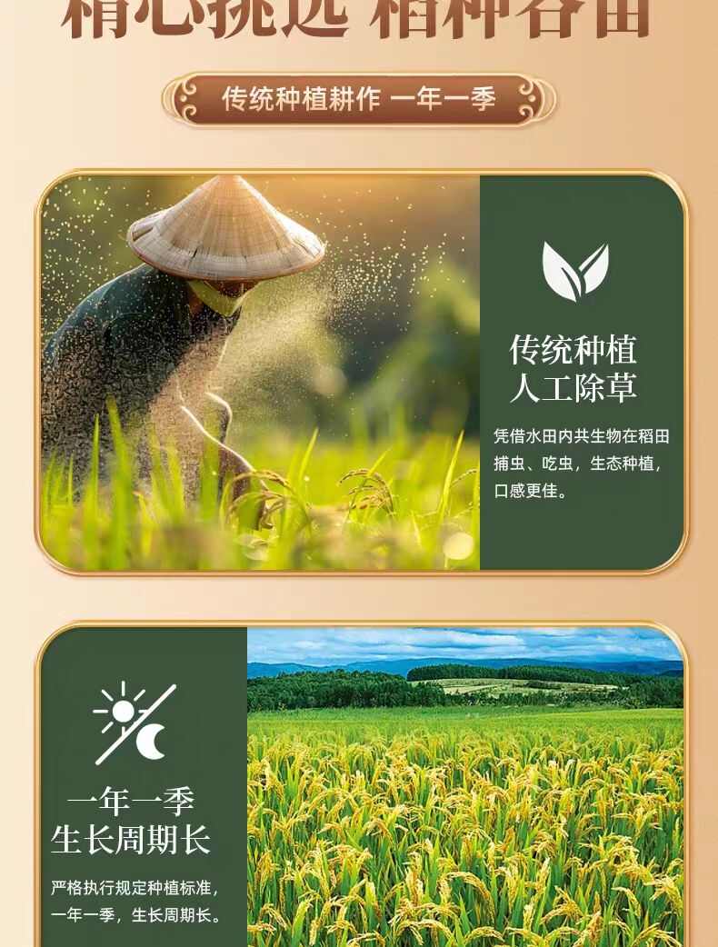长粒香新鲜大米长粒香大米10斤20斤一袋东北黑龙江晚稻一级批