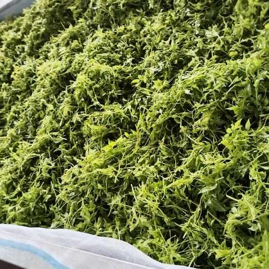 张家界张家界长寿村莓茶