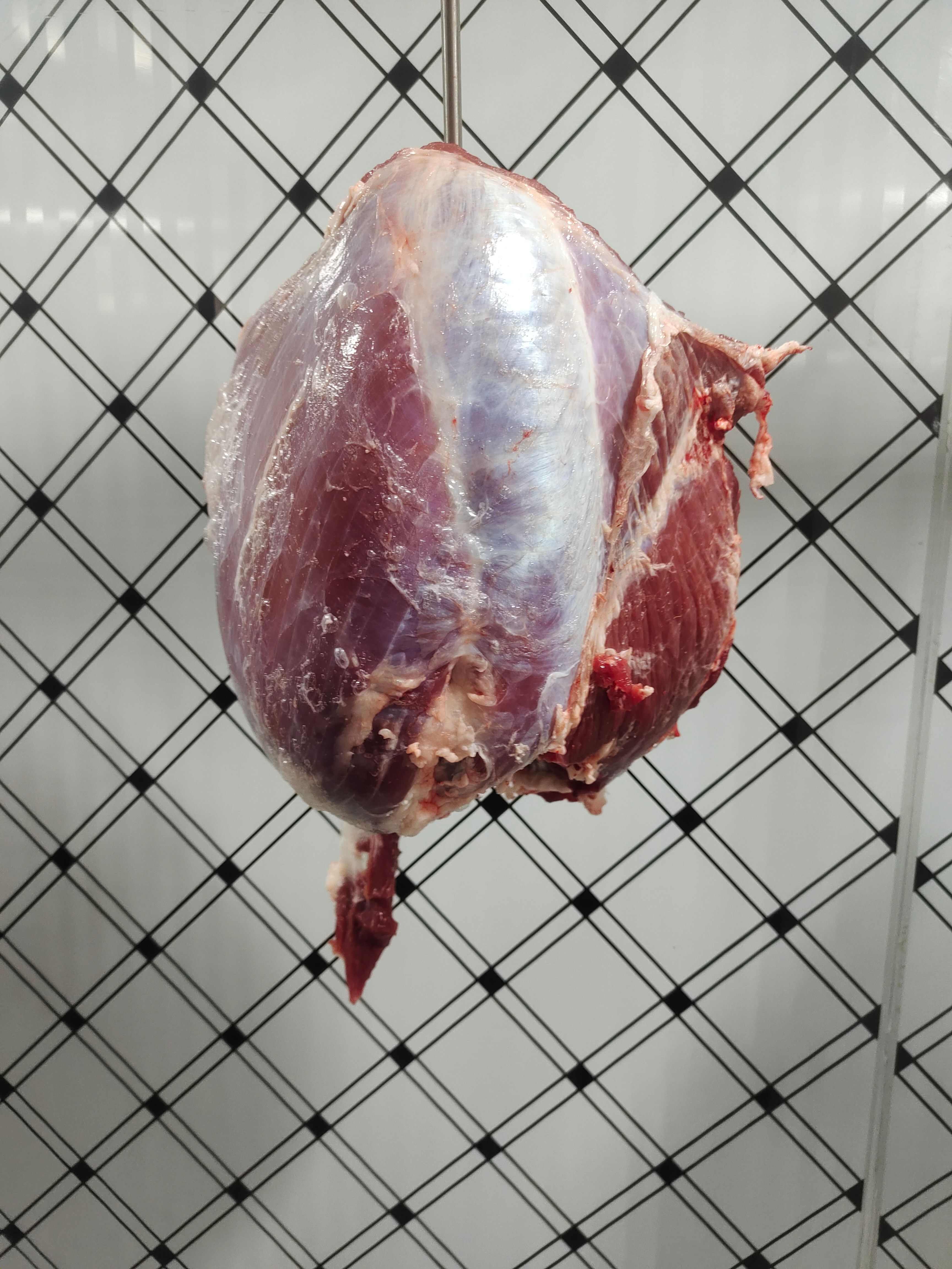 牛肉 纯干鲜牛肉 每天屠宰 冰鲜发货