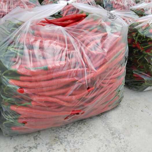 徽县二荆条红椒，25斤精选
