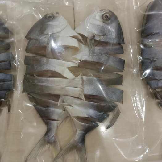 钦州淡盐拉花金鲳鱼