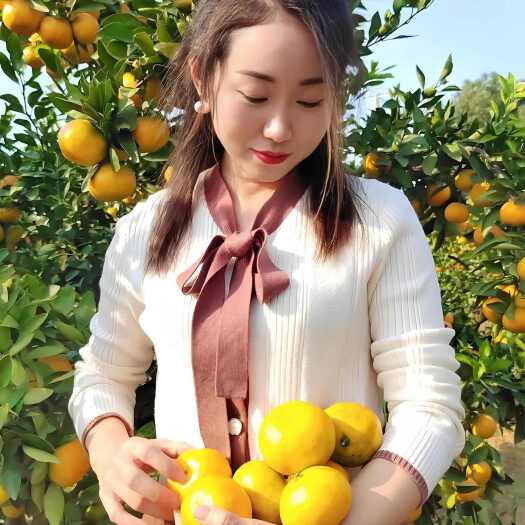 华宁县云南蜜桔皮薄多汁 口感甜 果型扁平 入口化渣  欢迎订购