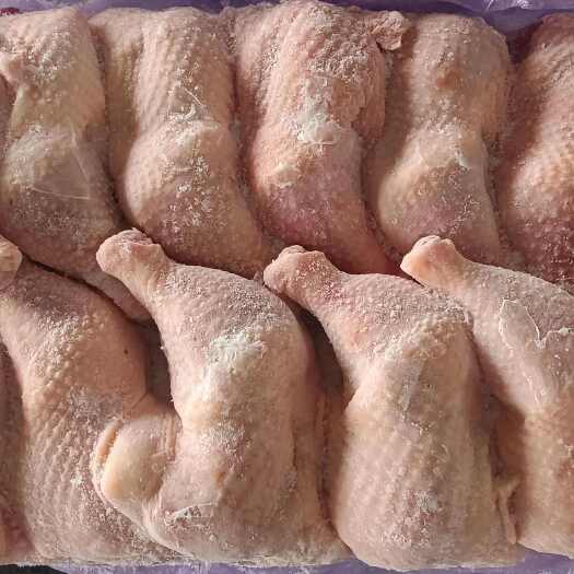 沂南县老鸡排腿500以上的