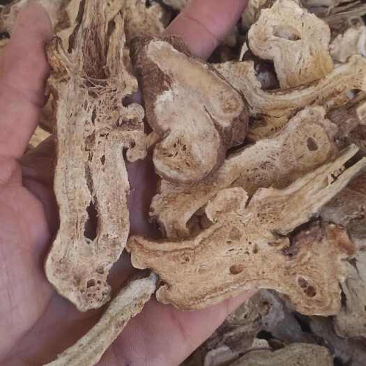 玉林无硫白术中药批发一手货源