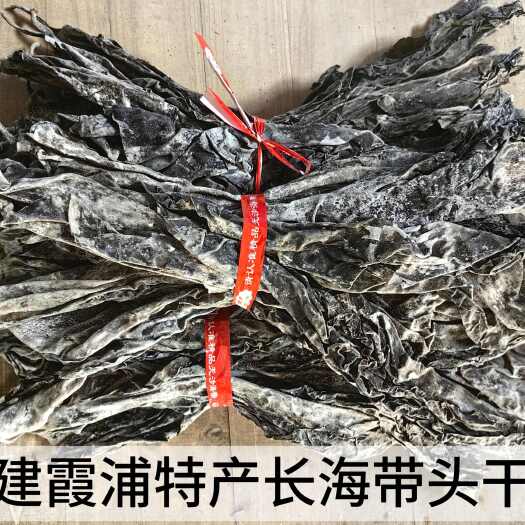 霞浦县霞浦长叶海带头，海带头